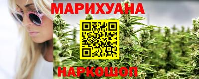индика Будённовск