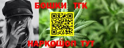 индика Будённовск