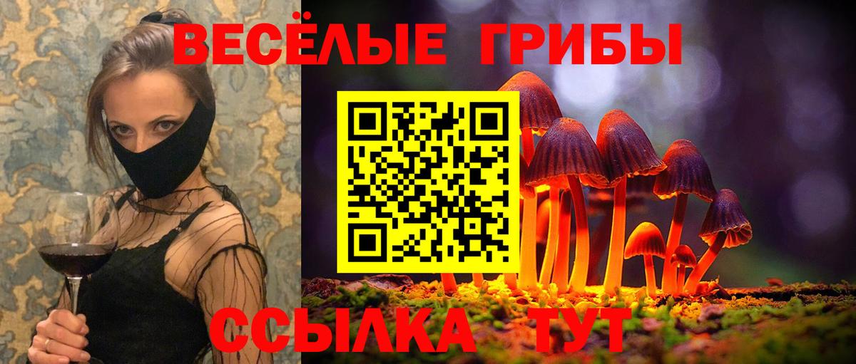 Галлюциногенные грибы ЛСД Тавда